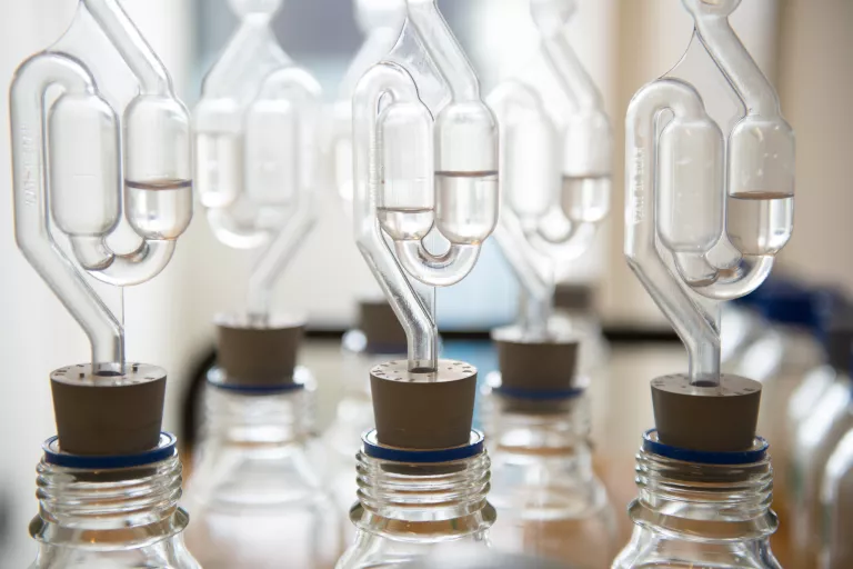 bottles