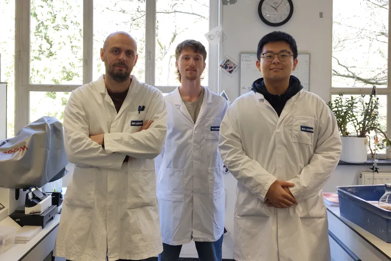 AB discovery team