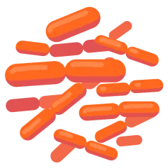 Bacteria VIB orange