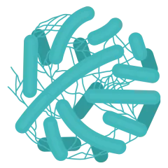 bacteria VIB green